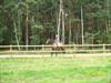 Blank hout afrastering met 2 half ronde liggers