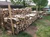 Vers gekloofd eiken hout