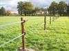 Lint afrastering met 2 groene linten
