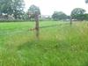 Lint afrastering met 2 groene linten