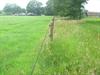 Lint afrastering met 2 groene linten
