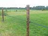 Lint afrastering met 2 groene linten