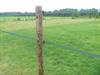 Lint afrastering met 2 groene linten