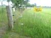 Afrastering met drie gladdraden